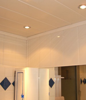 Plafond de salle de bains en lambris de pvc