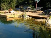 piscine naturelle biologique