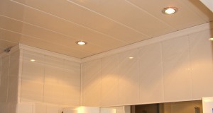 Plafond de salle de bains en lambris de pvc